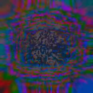 inscription 11de82c2a69fc1c5ffccab9c65728c1b944089abf014621c9ea9e6db316729abi0