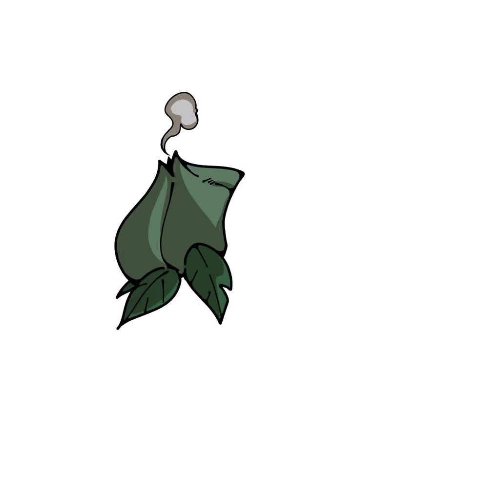 cloth